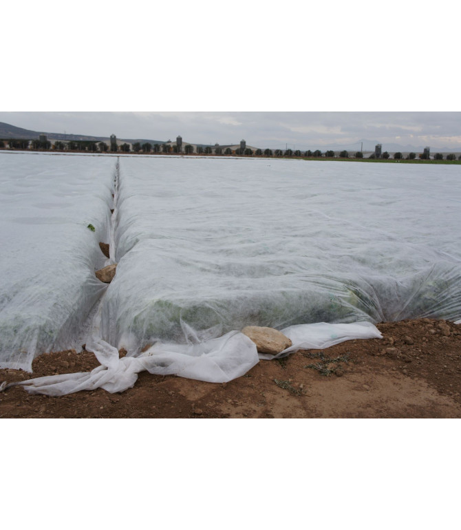 Filet Non Tissée GeoThermic 17gr.