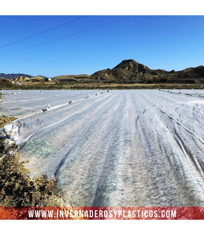 Filet Non Tissée GeoThermic 17gr.