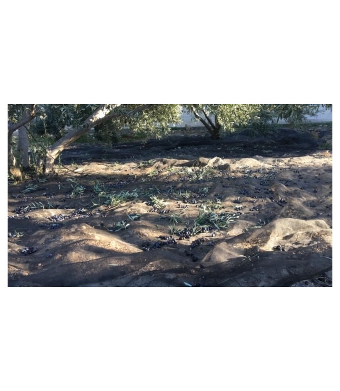 Filets Agricole 6x6 - Bâches récoltes