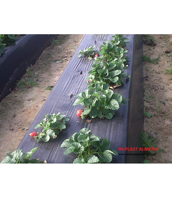 Film Paillage Biodegradable PLA - Maro