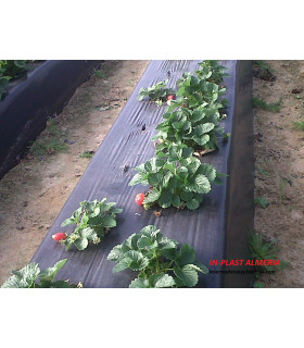 Film Paillage Biodegradable PLA - Maro